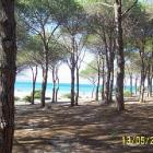 Apartamento Italia: Alquiler De Apartamento En Budoni Apartamento En San ...
