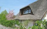 Apartamento Mecklenburg Vorpommern: Detalles Principales Wohnung 1 - 4 ...