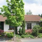 Apartamento Hessen: Alquiler De Apartamento En Bad Zwesten 4 * Sentirse Bien ...