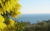 Apartamento Genova Liguria: 1 Habitación, Capacidad Para 4 