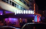 Apartamento Miami Beach Florida: 1 Party Beach In The U.s. & Alyssa's ...