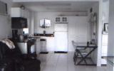 Apartamento Estados Unidos: Florida's Alafia River Get-Away 
