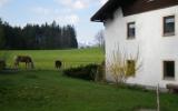 Casa De Vacaciones Alemania: Casa De Vacaciones Alpes Alemanes 4 Personas 